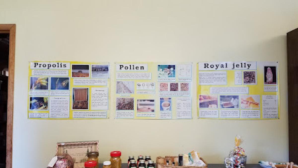 Stedman Bee Supplies