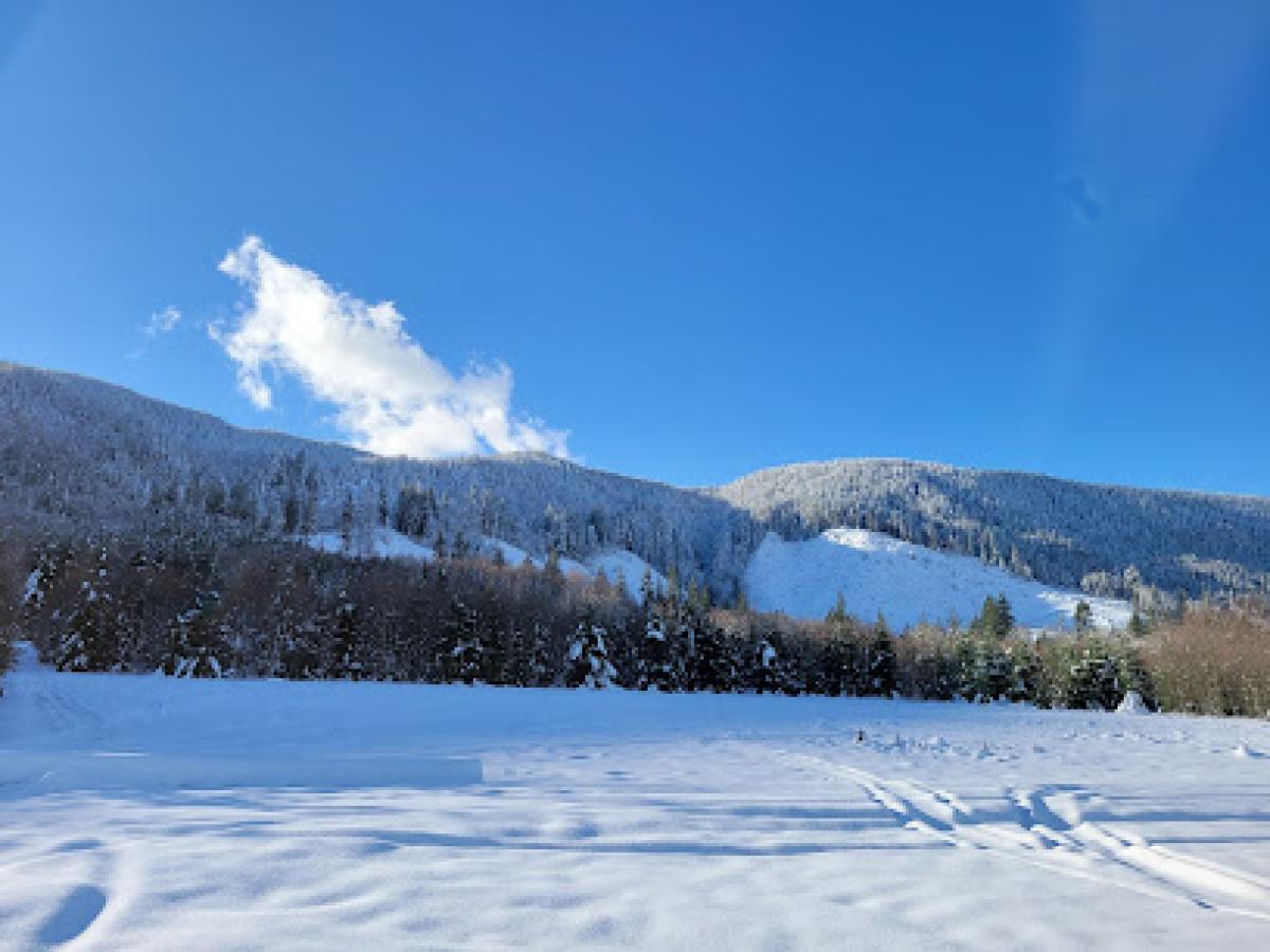 Harmony Ridge Honey Farms L.L.C.