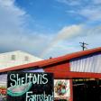 Shelton's Farmstand