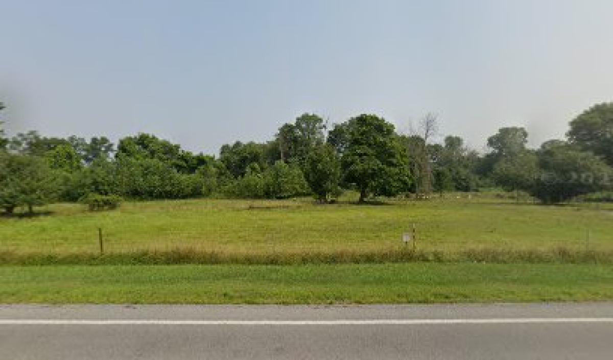 Burrell Creek Bee Supply