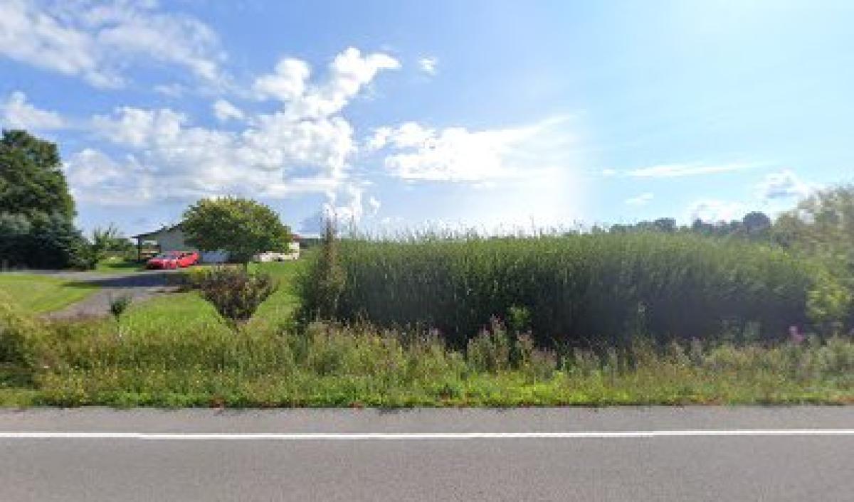 Slate Hill Edible Forest