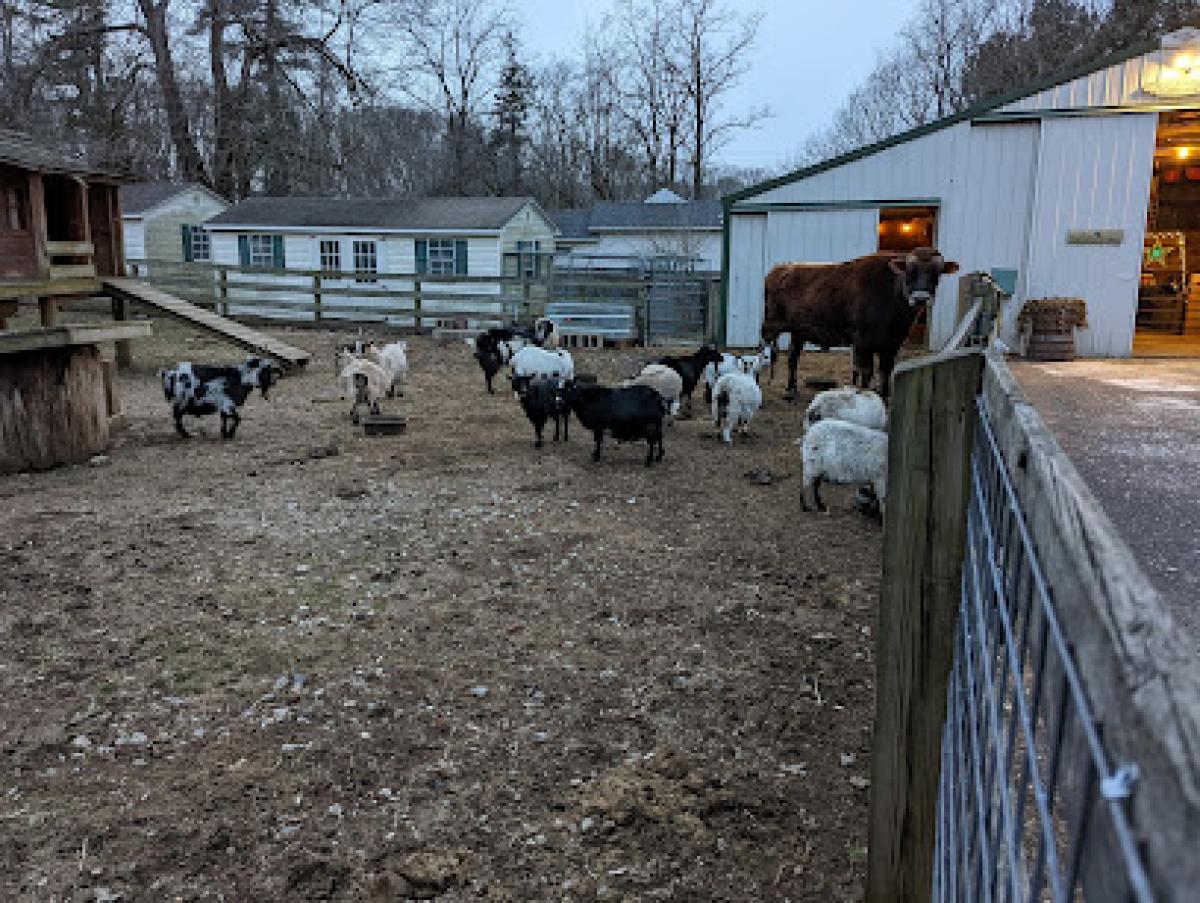 Generation Pines Farm