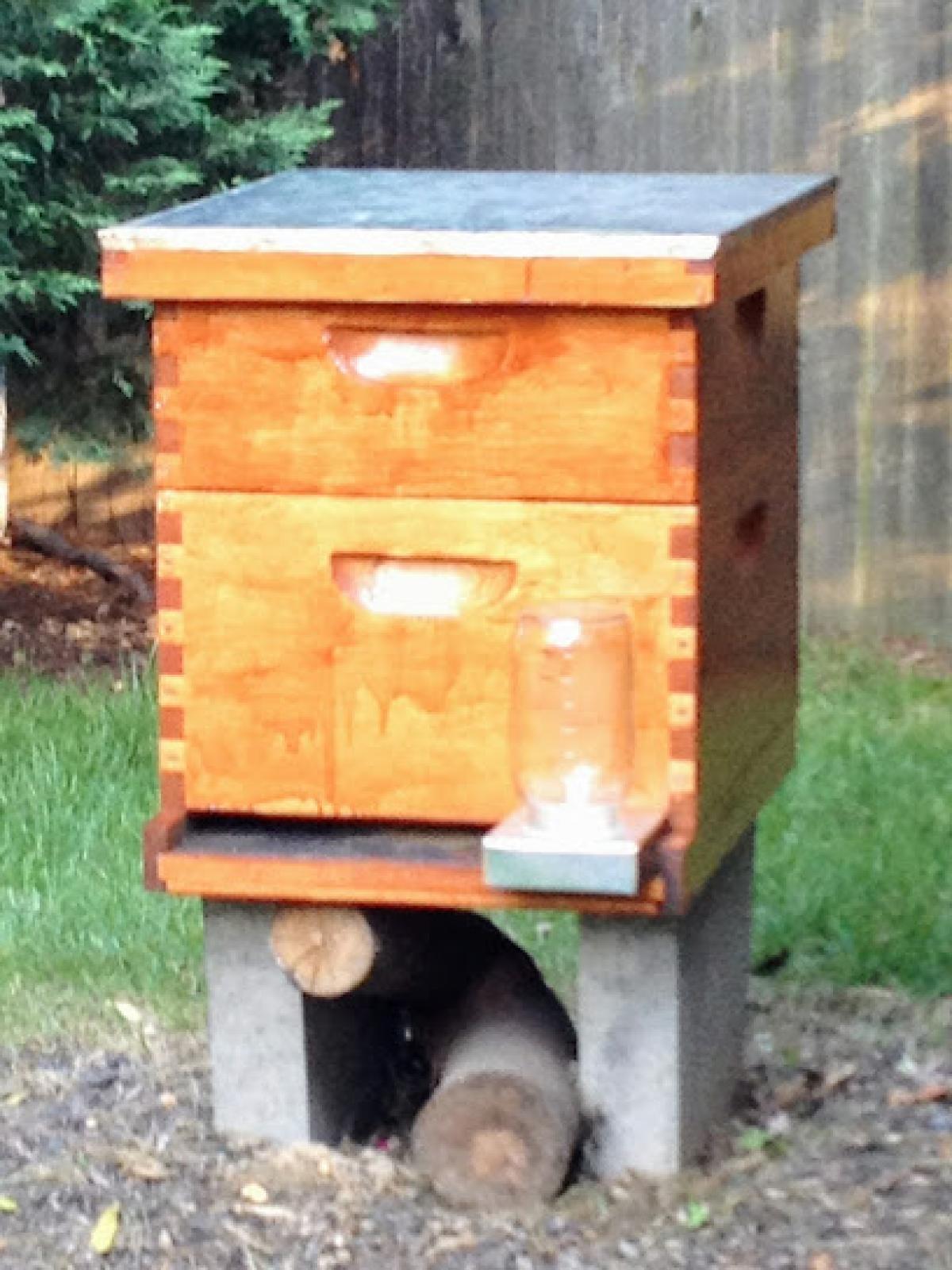 SugarShackHoney Apiary