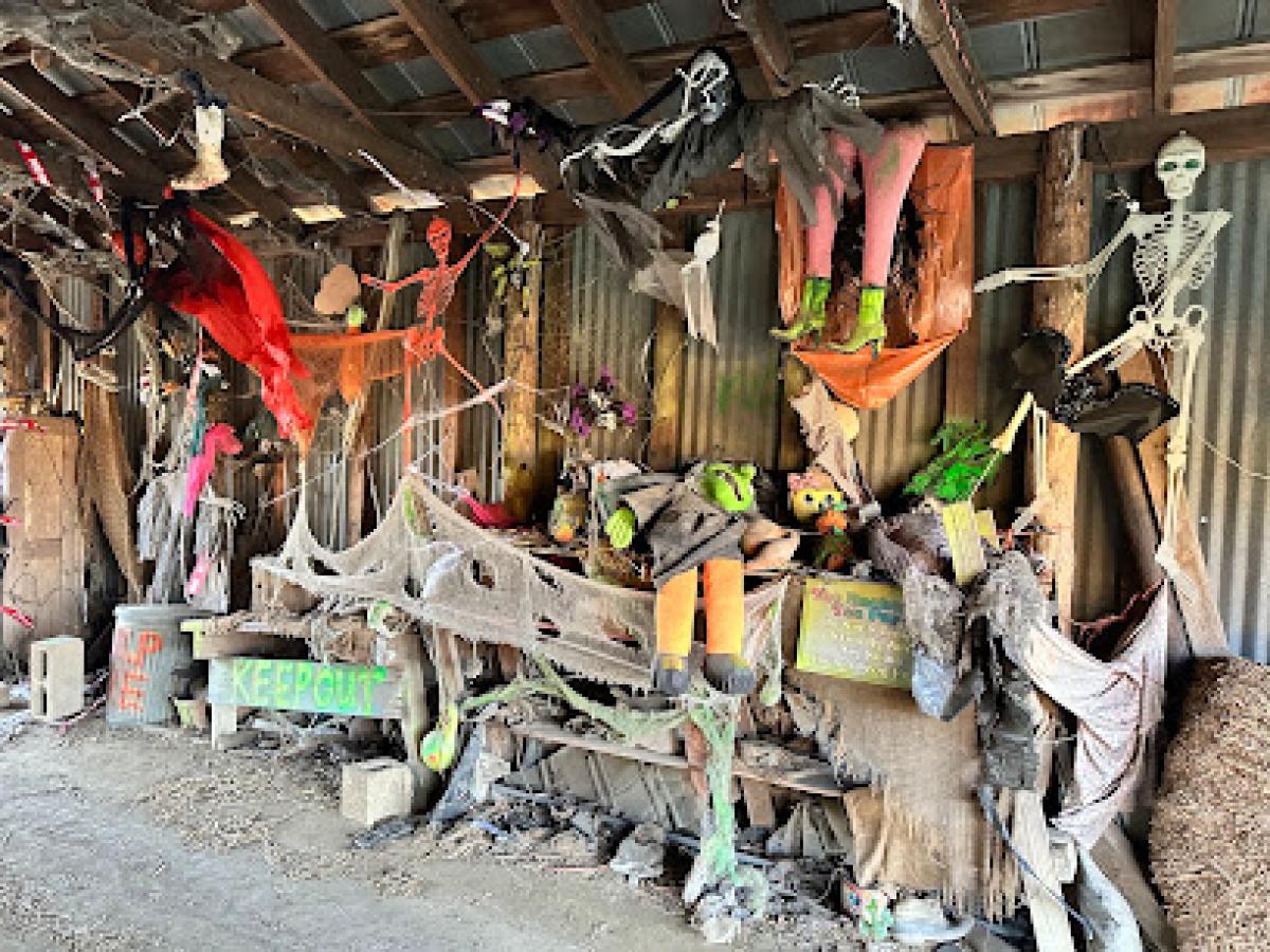 Gallmeyer Farms The Pumpkin Patch