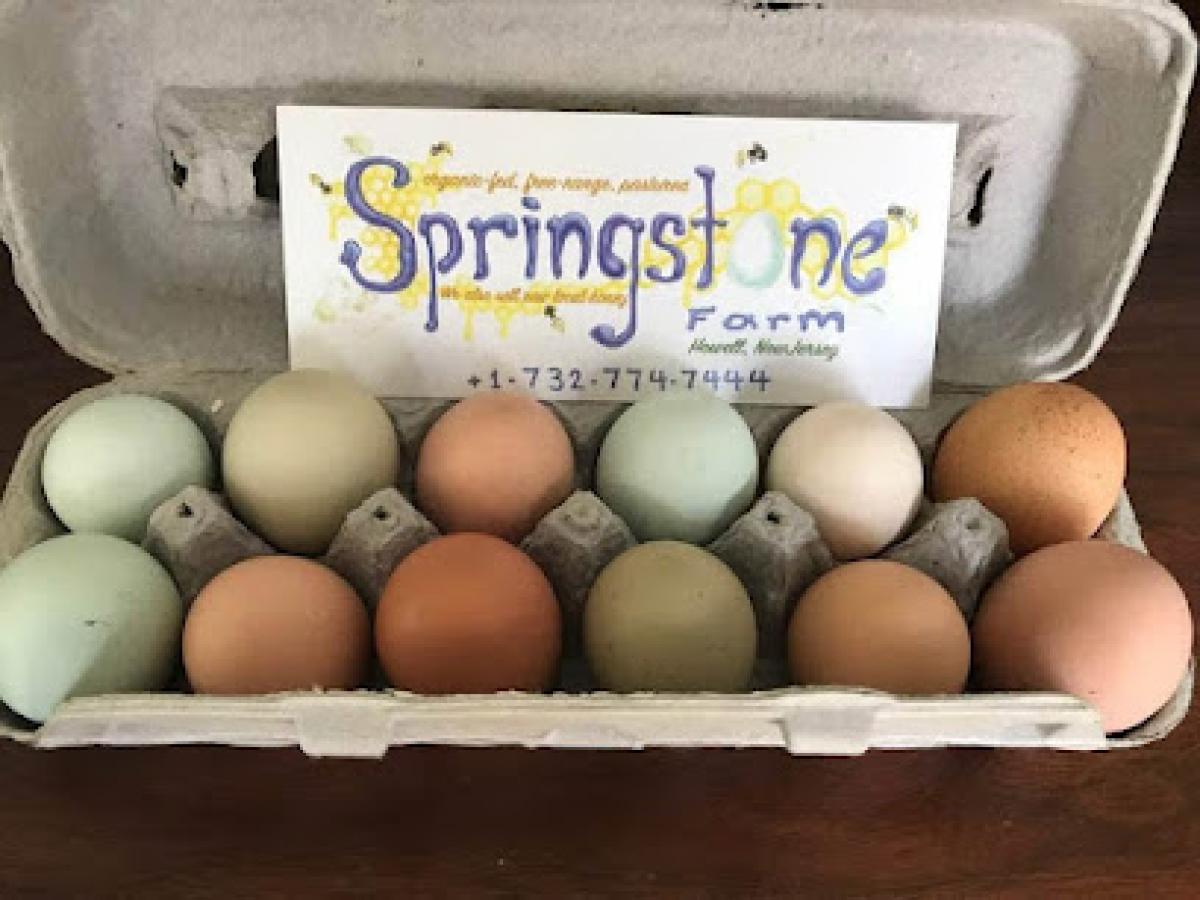 Springstone Farm & Animal Rescue: raw local honey and organic-fed free range pastured chicken eggs.