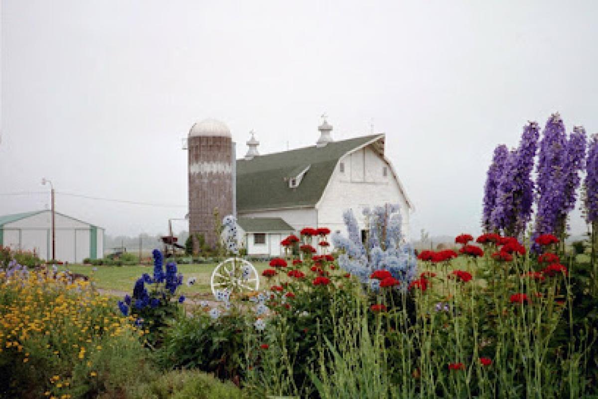 Birch Creek Enterprises