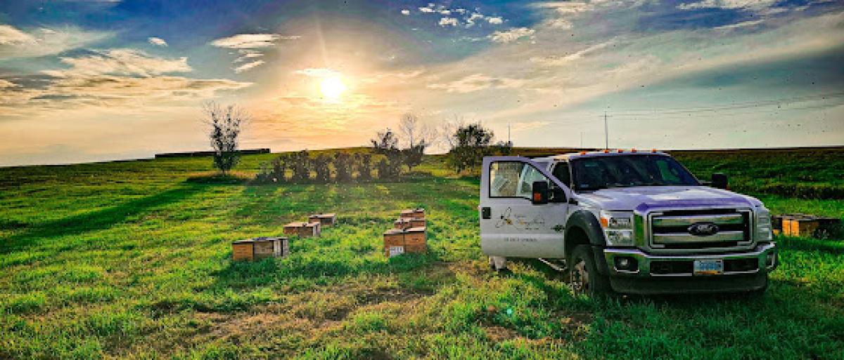 Viljoen Honey Farm LLC