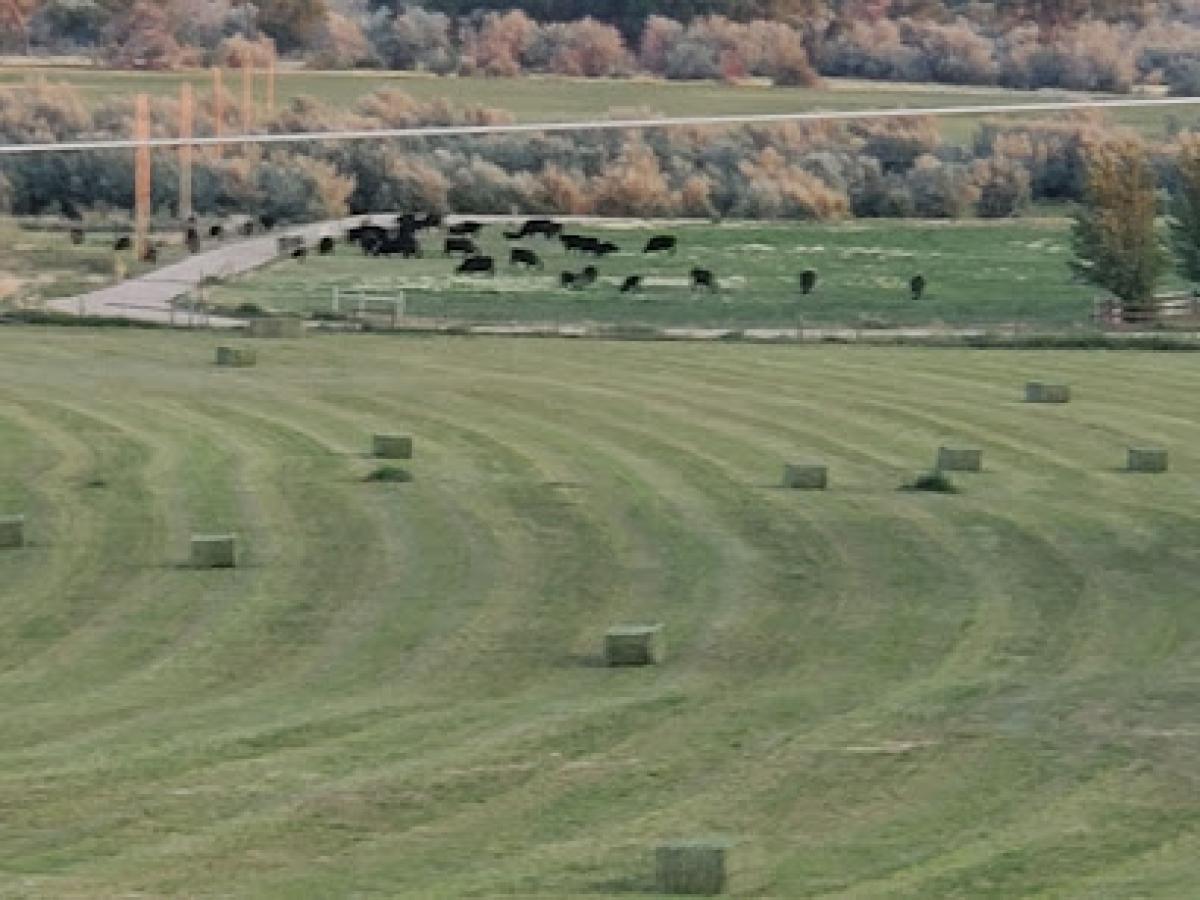 WS Ranch Farmhouse-Products