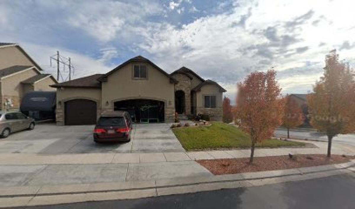 Hidden Hillside Honey