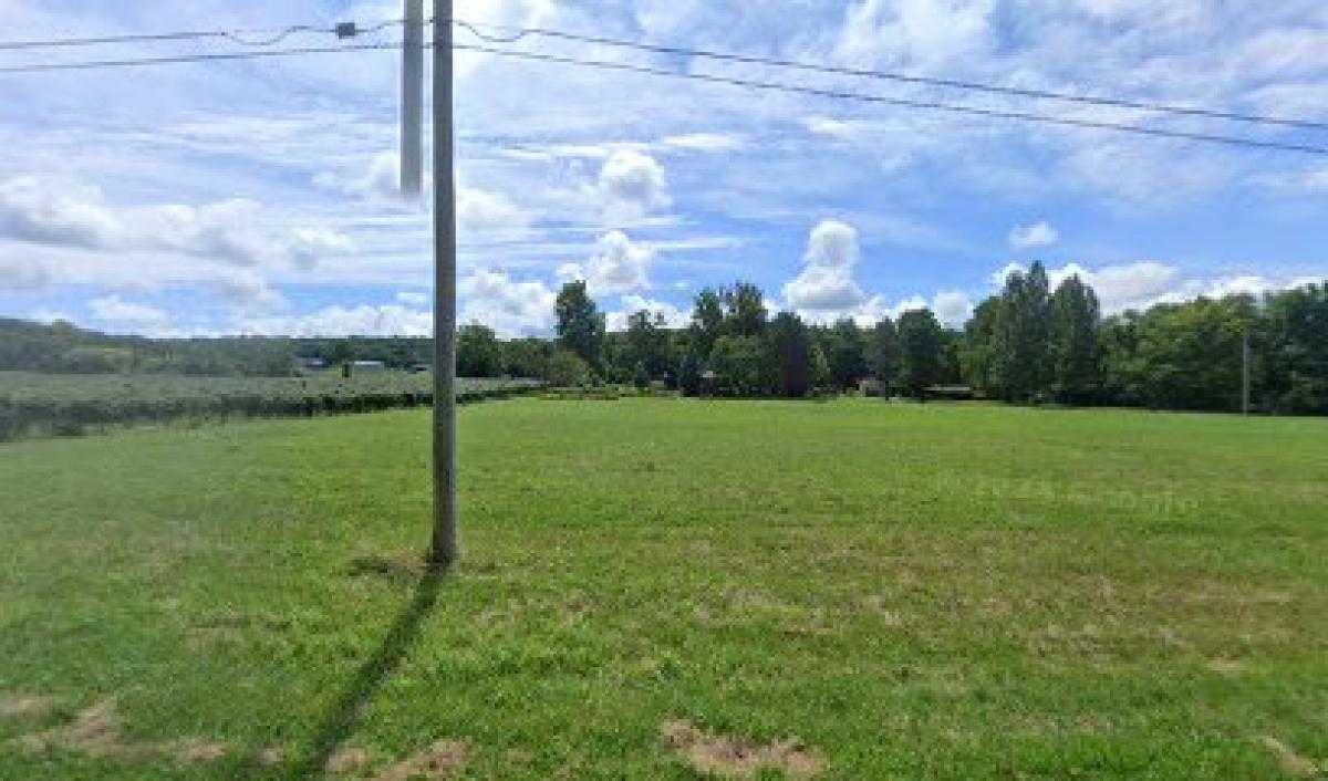 Harrington Maple & Honey