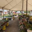 Navarra's Farm Market and Greenhouses