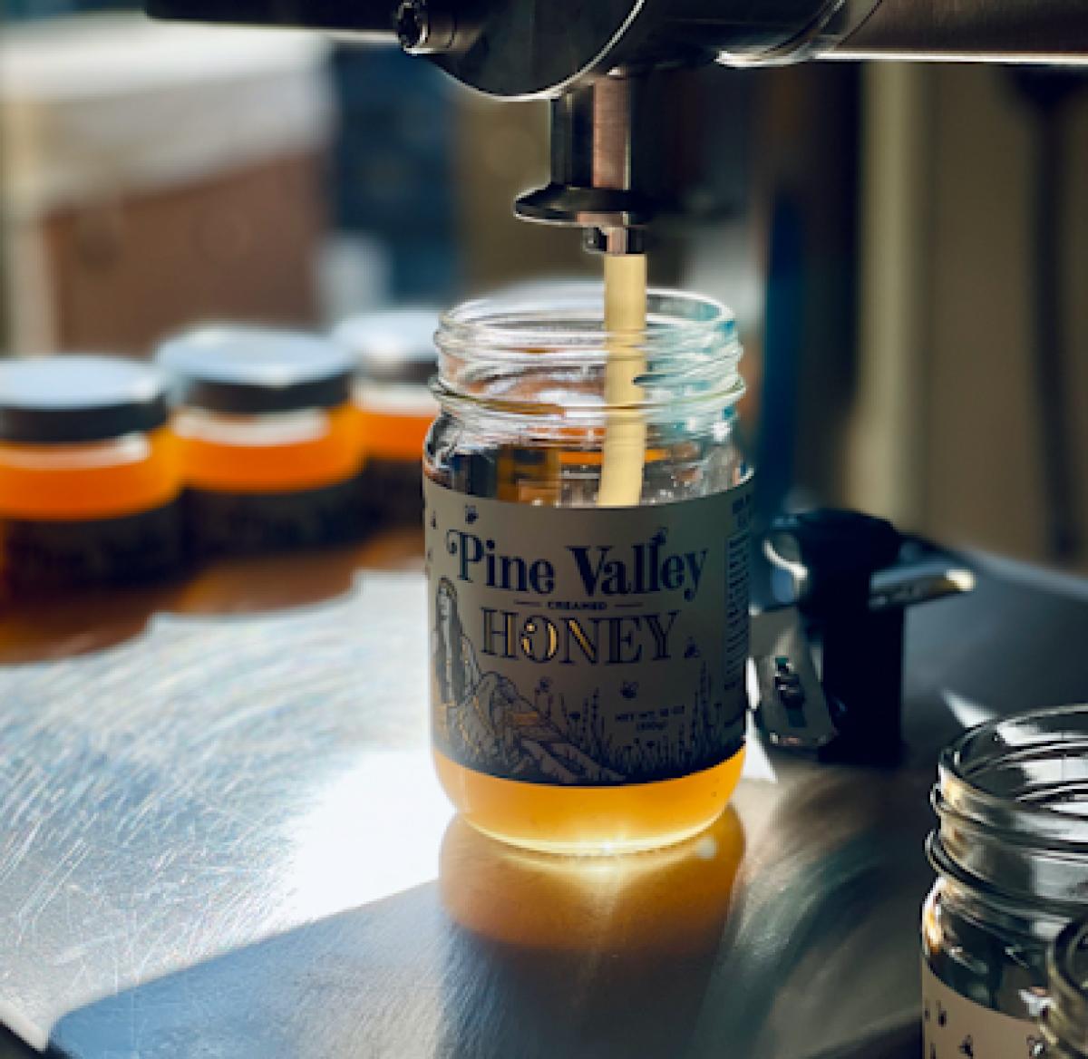 Pine Valley Honey