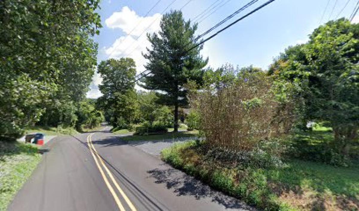 Revolution Bees Honey Stand