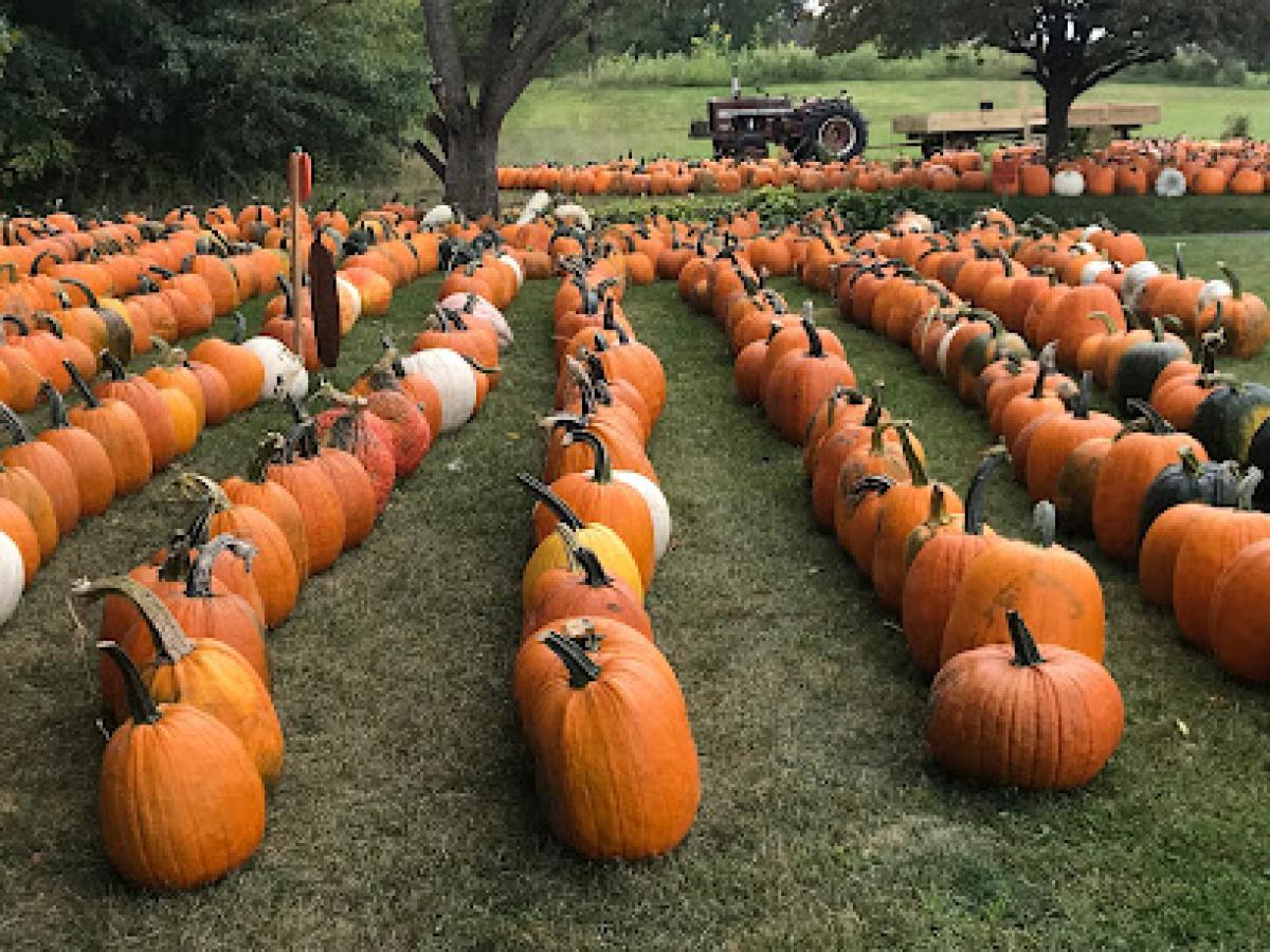 Hickory Creek Honey and Pumpkins