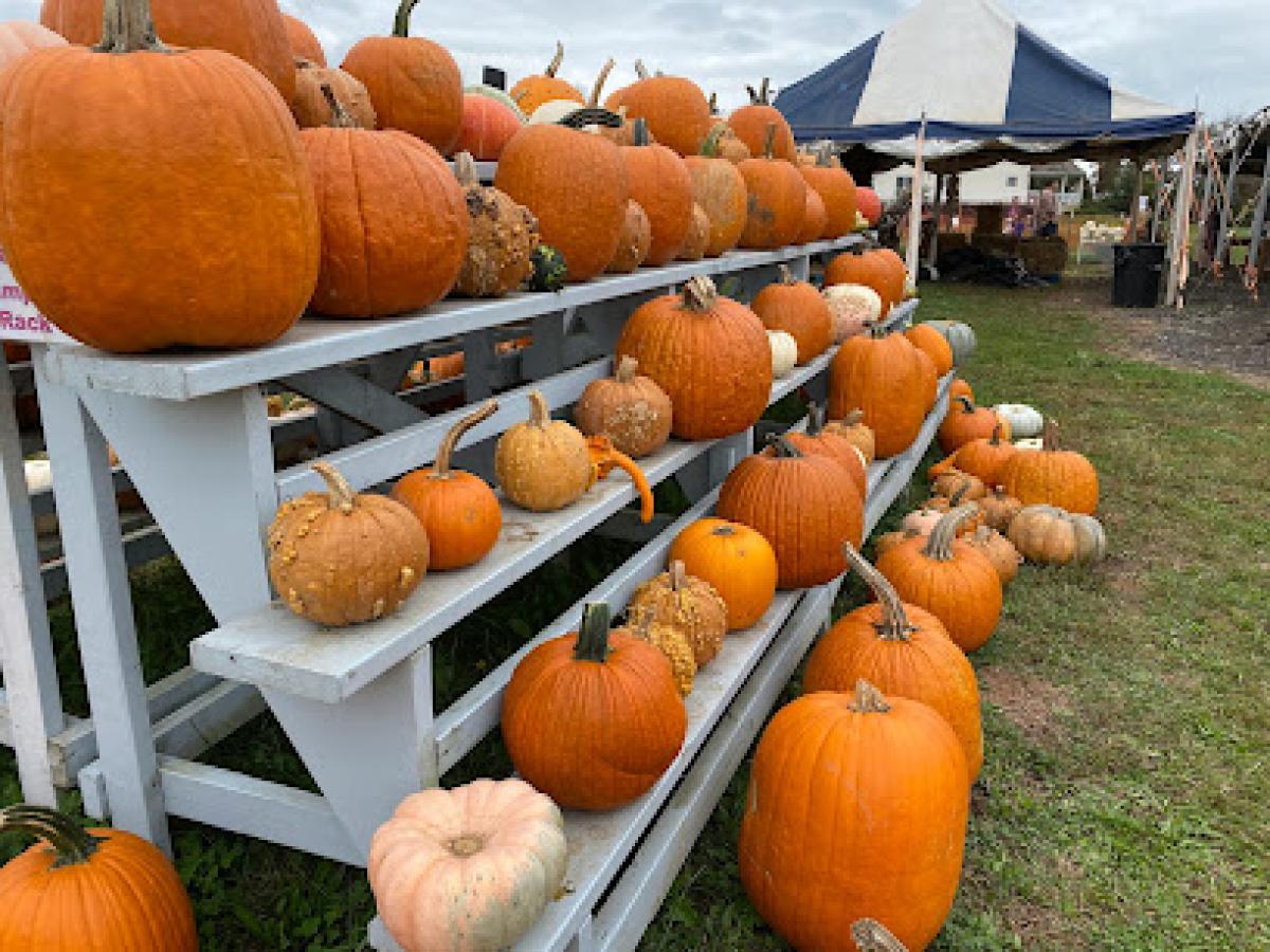 Norz Hill Farm & Market, LLC