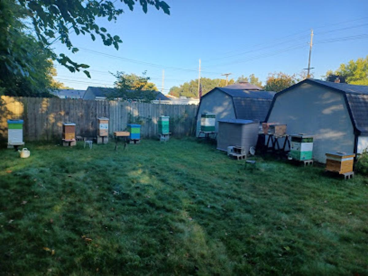 Great Lakes Honey Bee Rescue