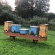 Heffernan's Honey & Beekeeping Supply LLC