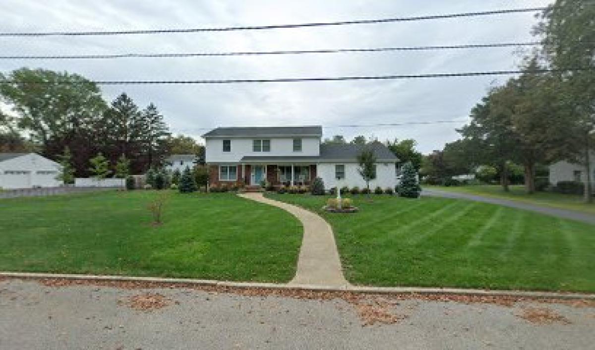 The Jersey Bee Girls