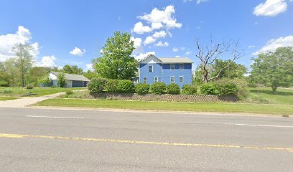 Black Queen Bee Honey