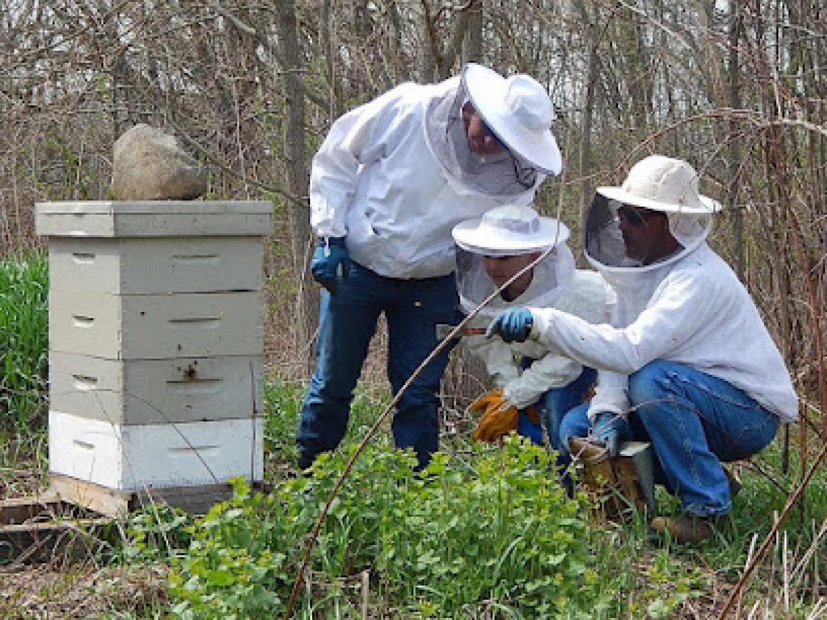 Whitfield's Raw Honey
