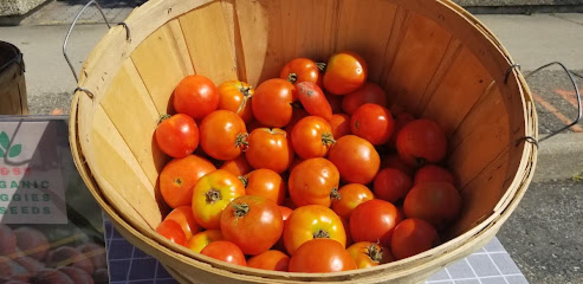 Lincoln Park Farmers' Market
