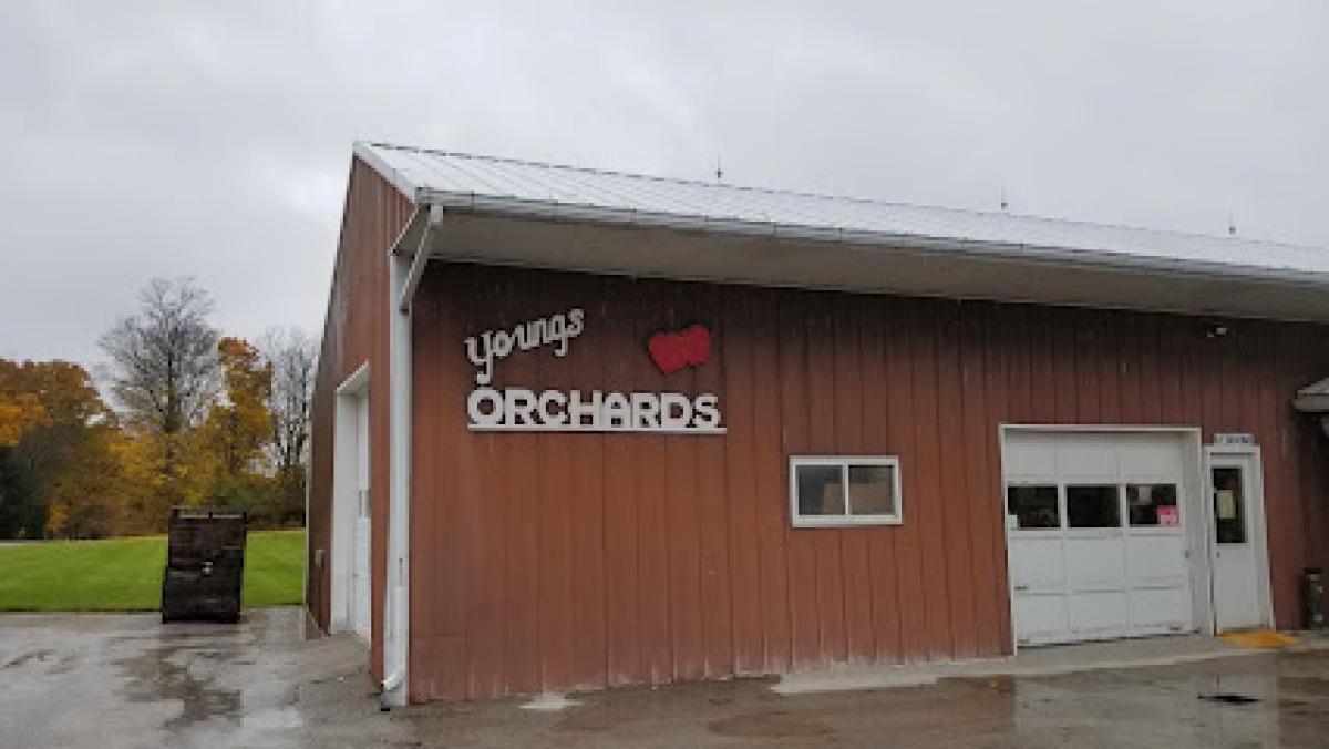 Young's Orchards LLC
