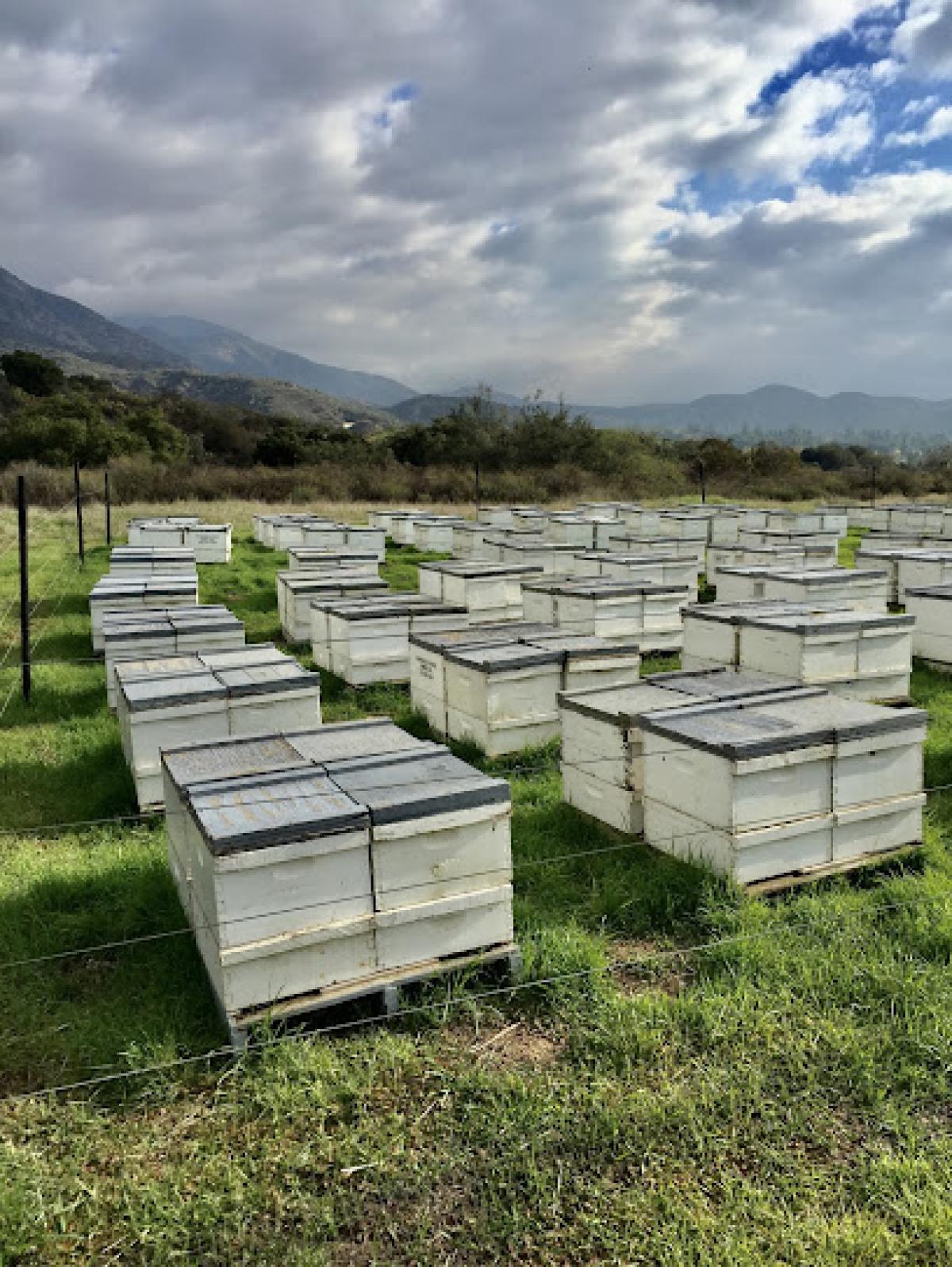 Harris Family Apiaries Bee Location