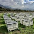Harris Family Apiaries Bee Location
