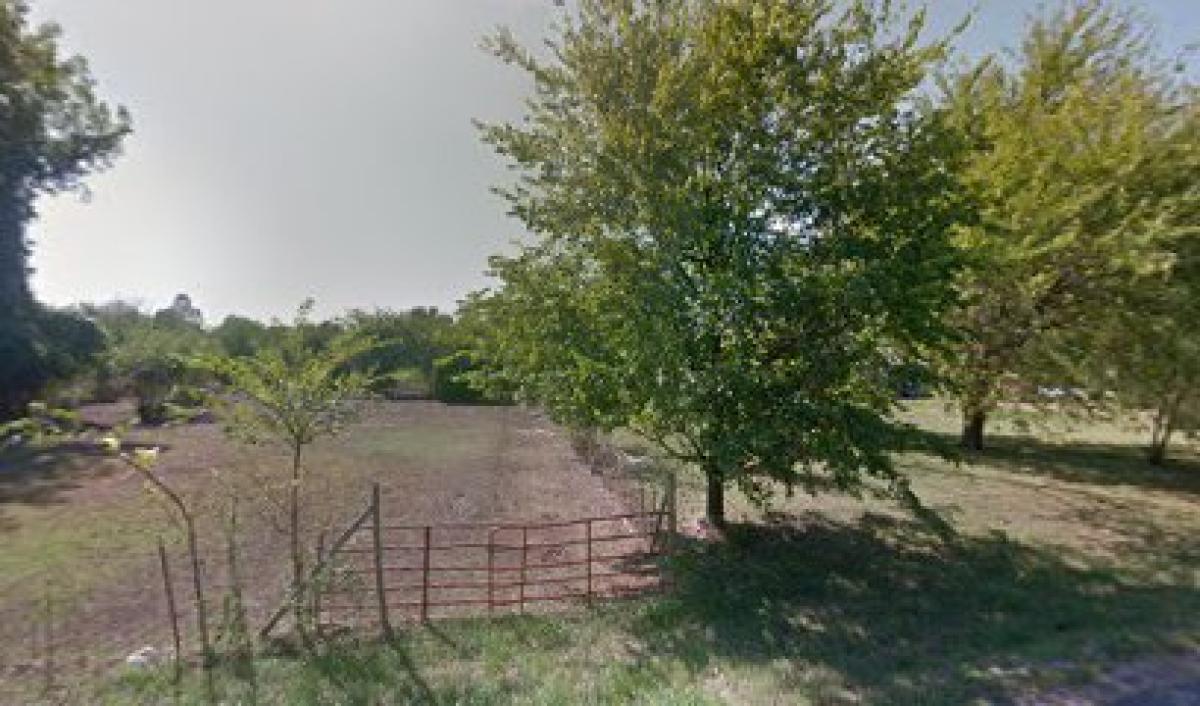 Phillips Farm, Hive and Hen