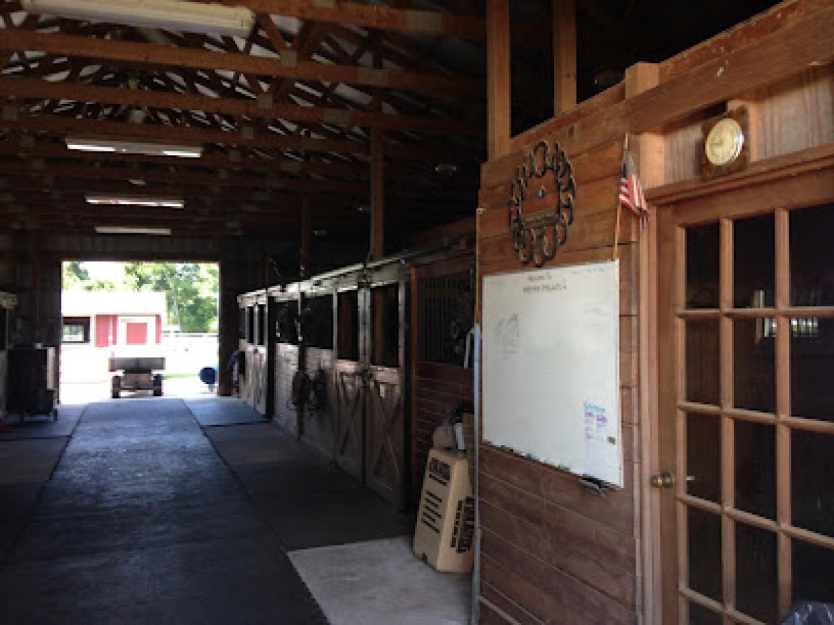 Hidden Spring Lavender & Alpaca Farm