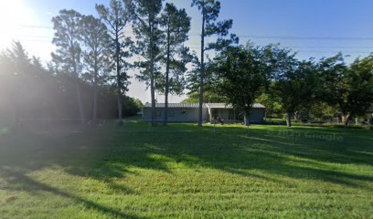 Rebecca's Honey Bees