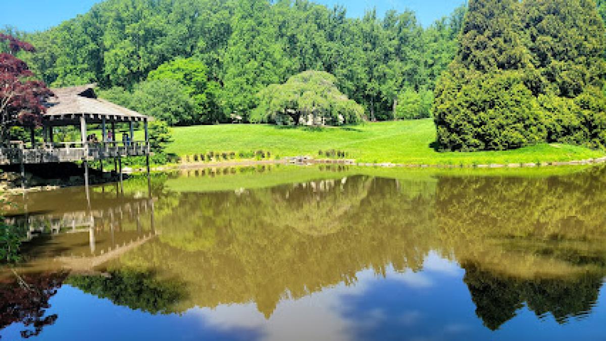 Minden Farmers Market