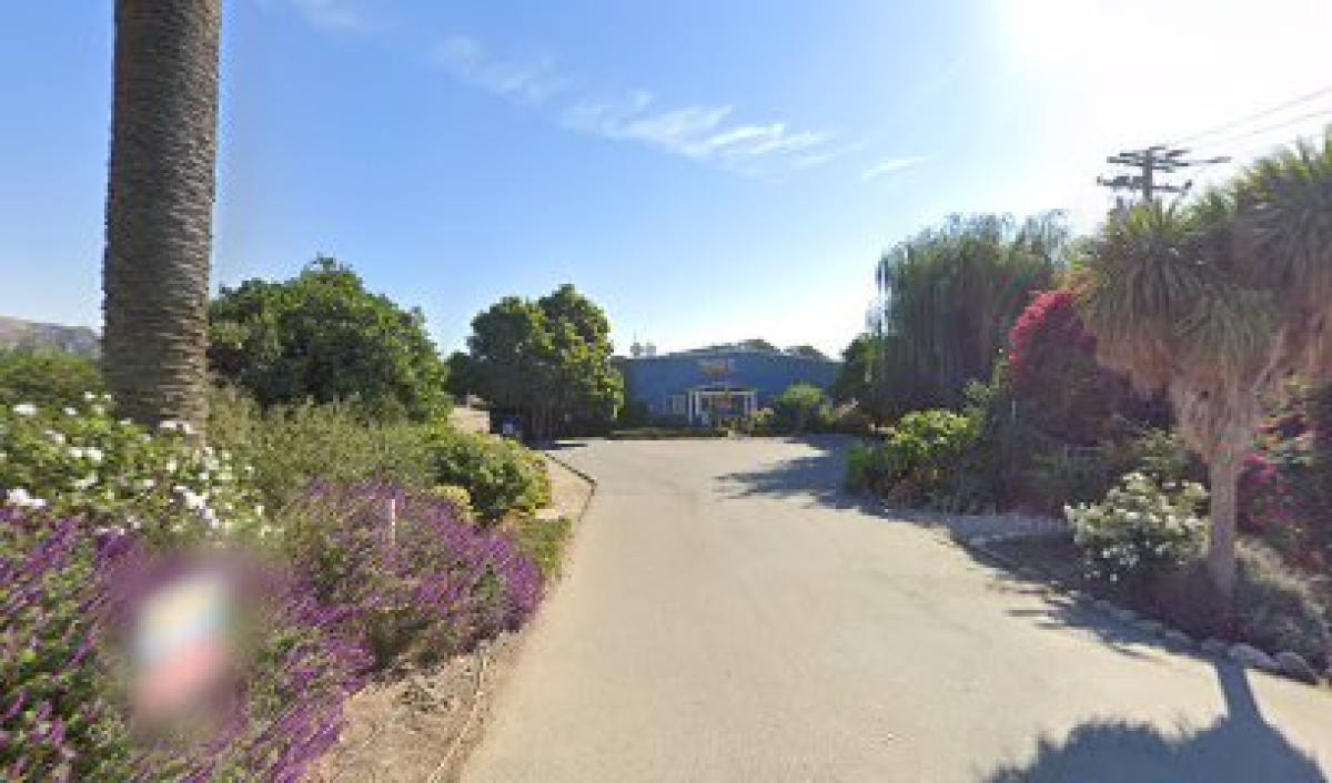 Topanga Quality Honey