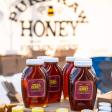 Fachin Bees Honey