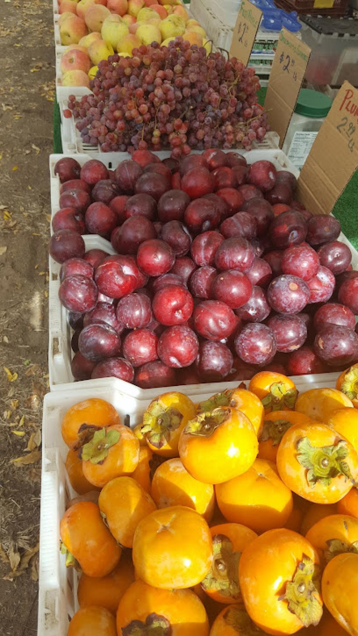 Santa Ysabel Farmers Market