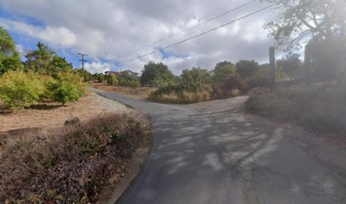 San Luis Rey Apiaries