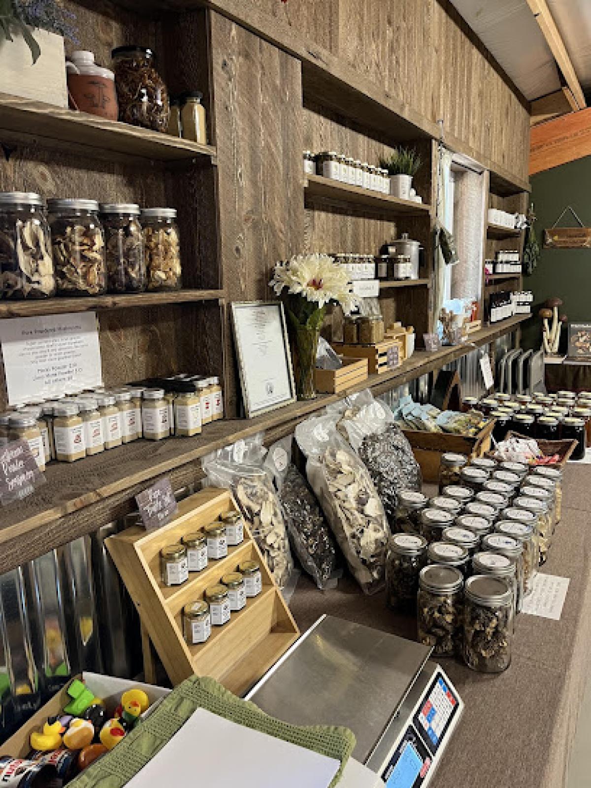 Nature's Wild Harvest