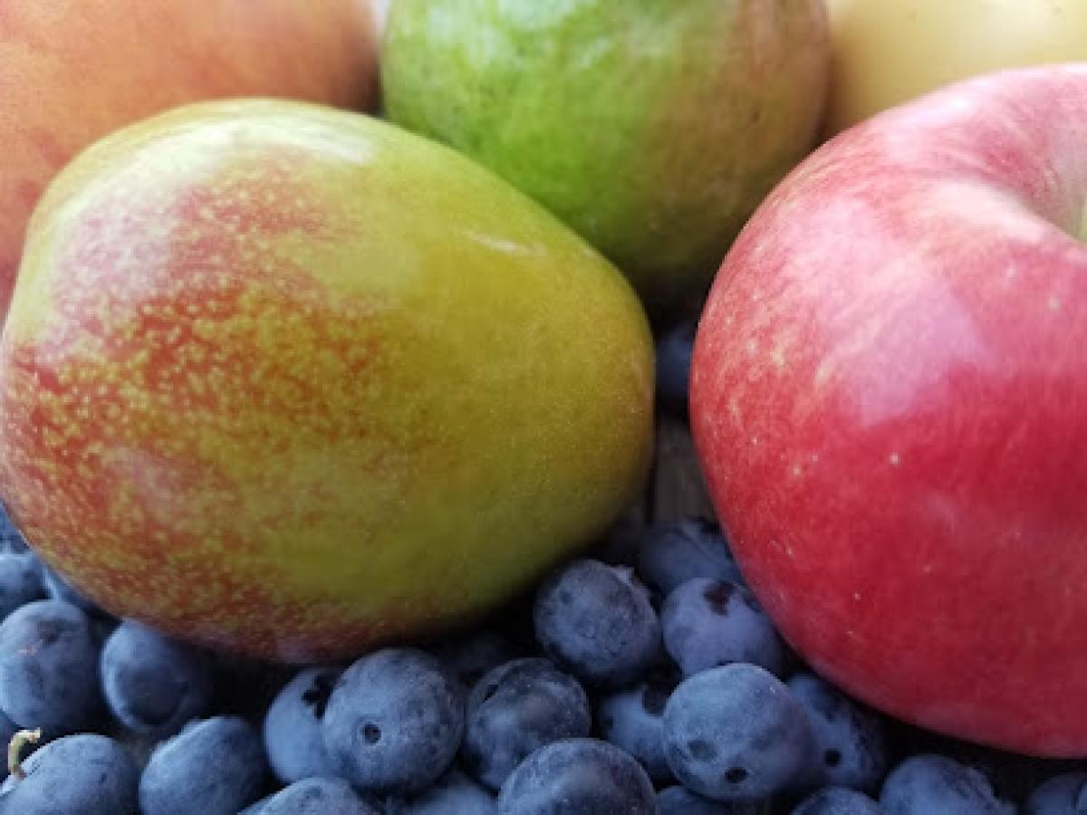 West Valley U-Pick Fruit & Vegetables