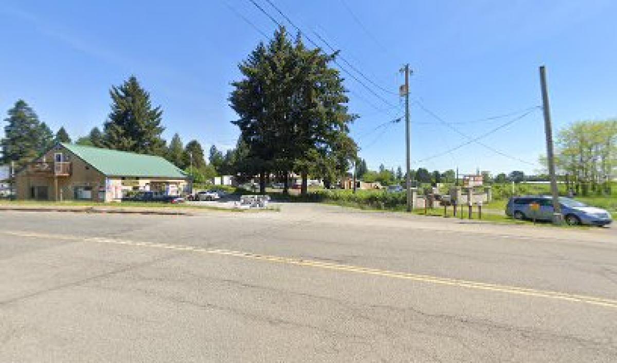 Silver Star Farms Inc