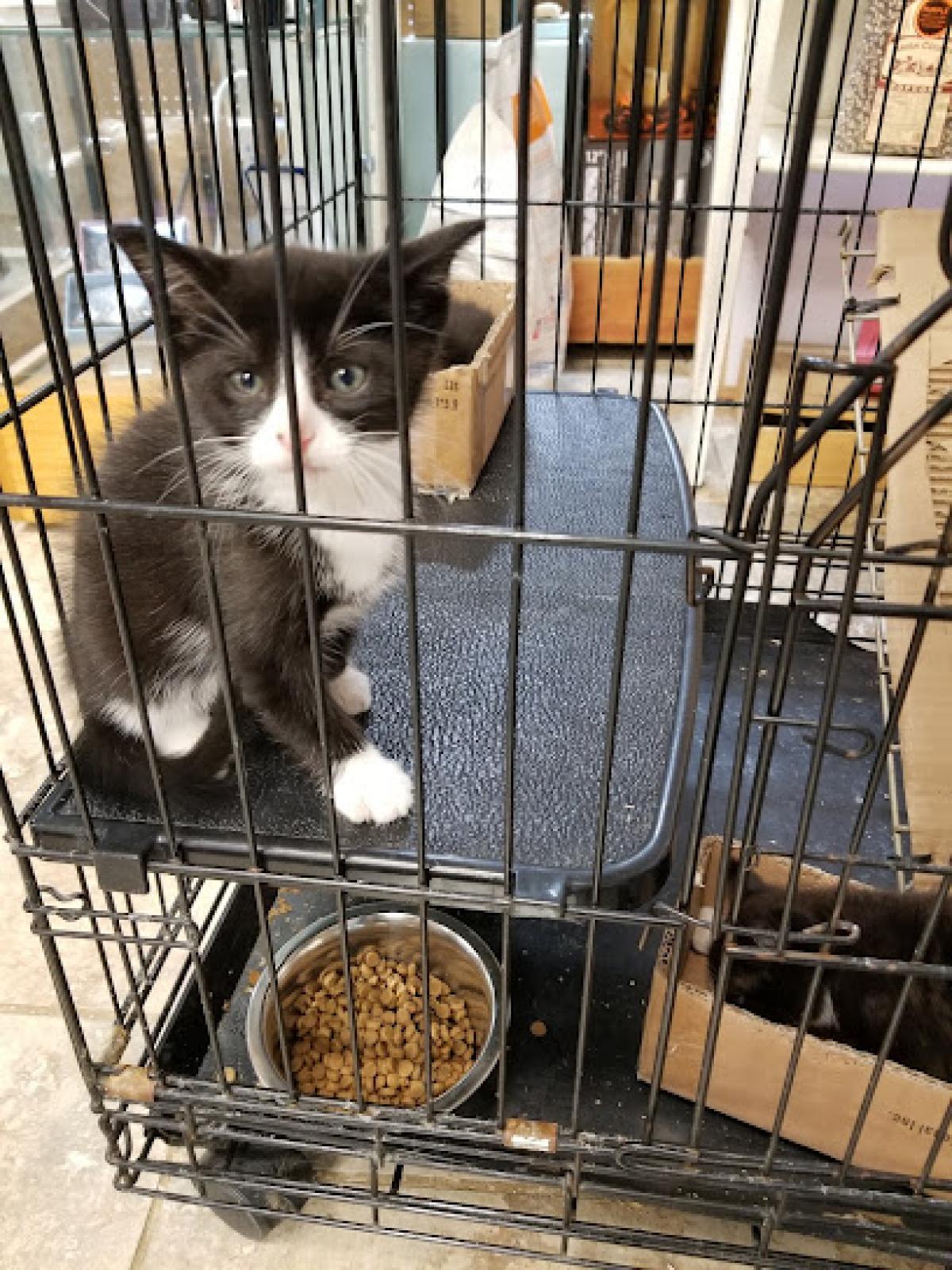 Geren's Farm & Landscape Supply