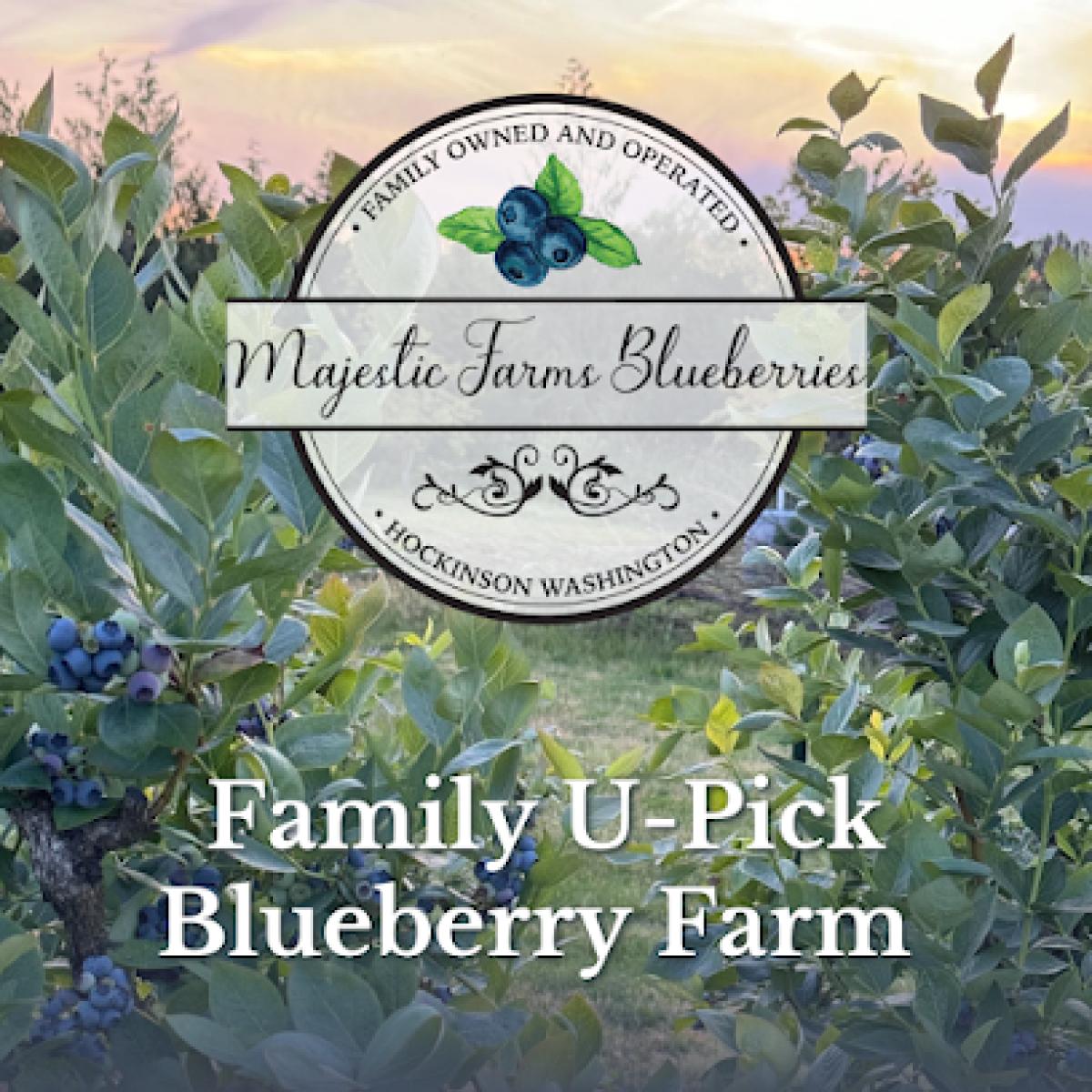 Majestic Farms Blueberries