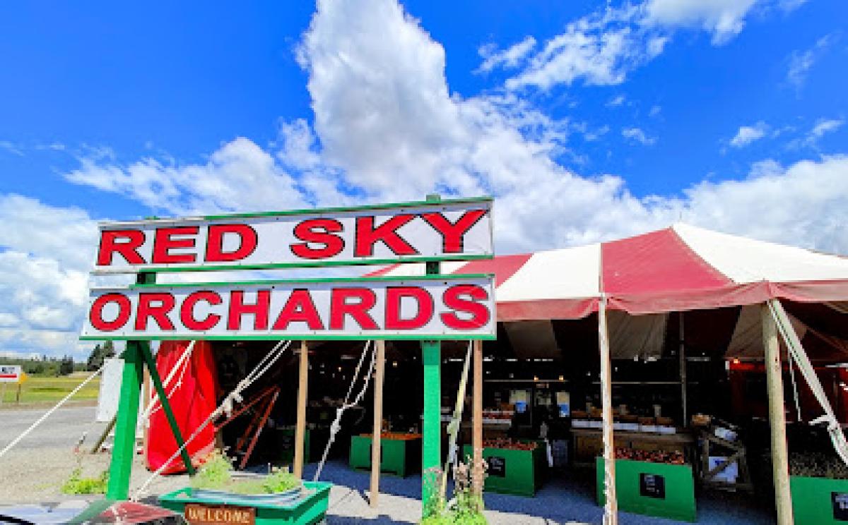 Red Sky Orchard