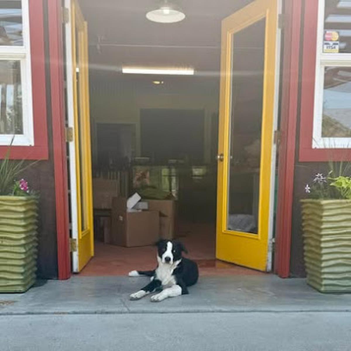 Rest Awhile Country market