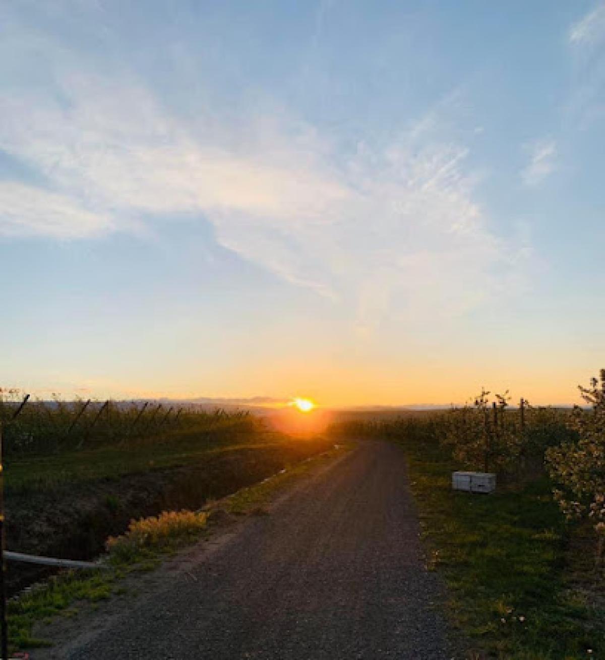 Columbia Pollination