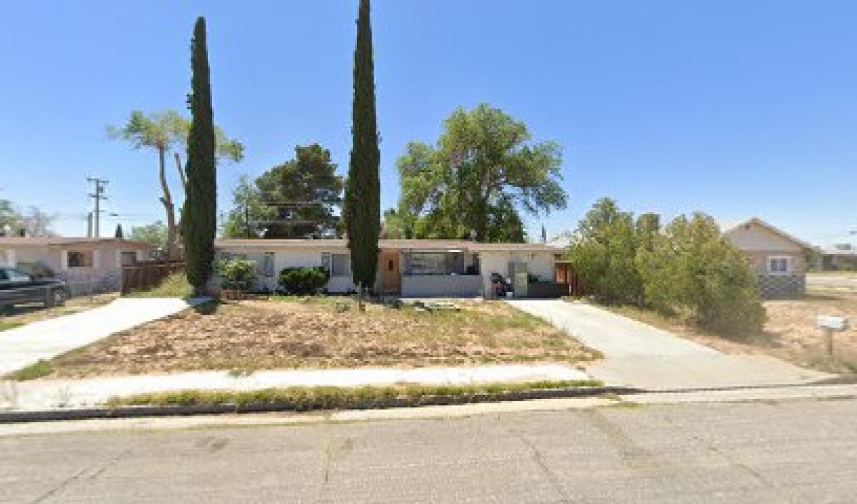 High Desert Honey bees