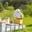 Oakley Apiaries