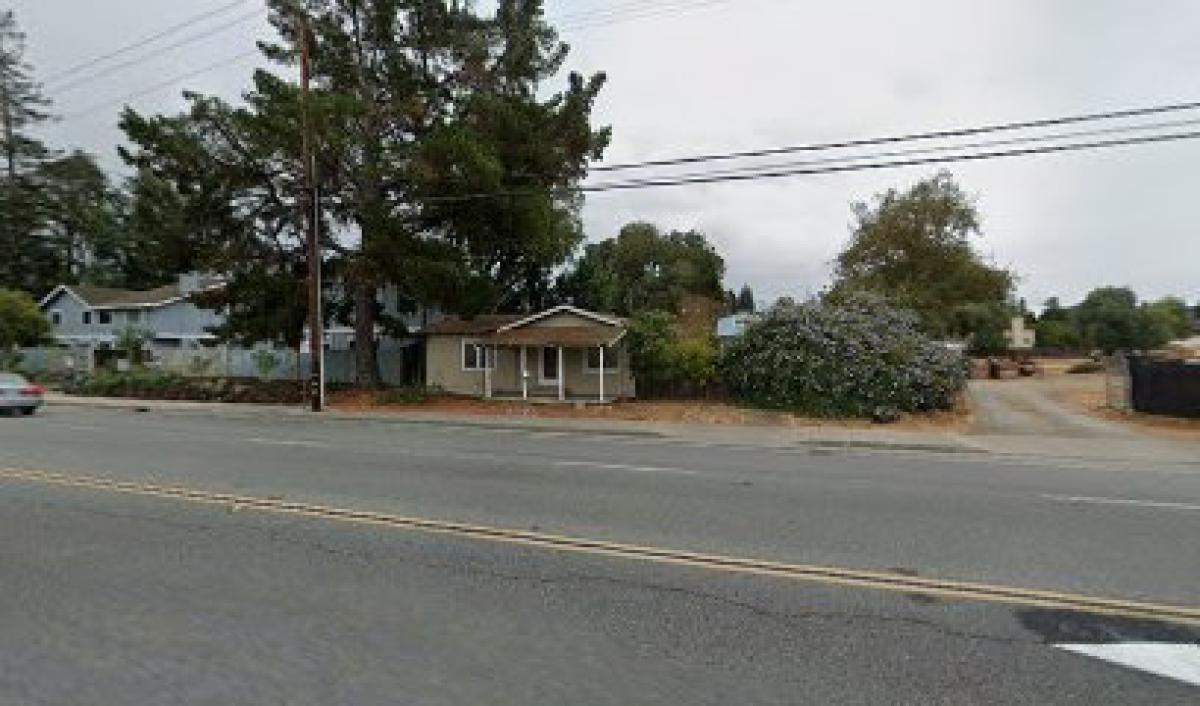 Honey of Distinction