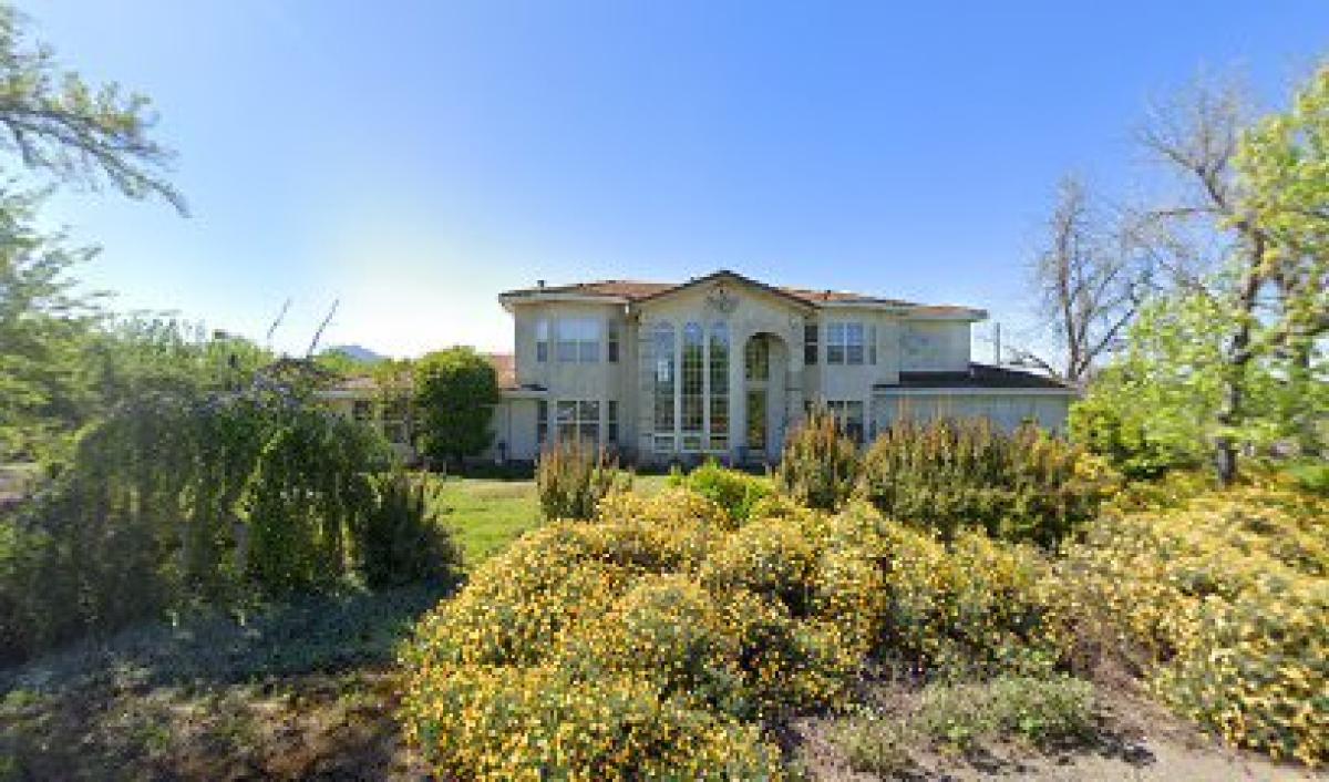 Wingfield Apiaries Inc