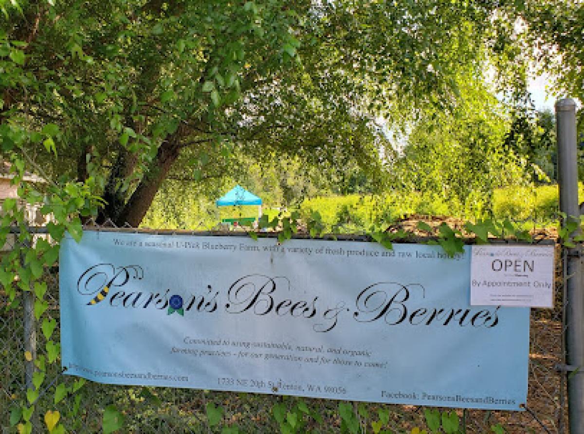 Pearson's Bees and Berries (U-Pick Blueberries)
