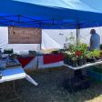 Coupeville Farmers Market